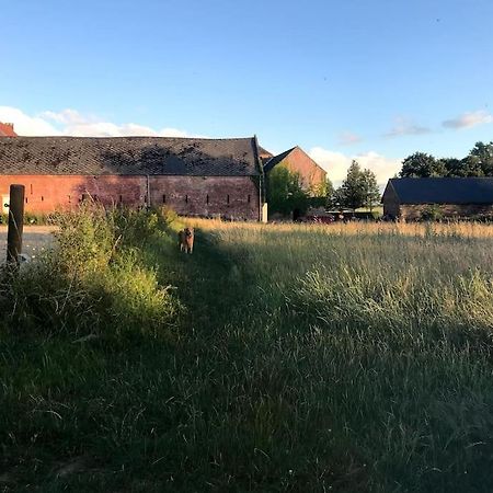 Le Cottage - Maison De 6 A 8 Personnes - La Ferme Du Try Frasnes-lez-Gosselies Eksteriør billede