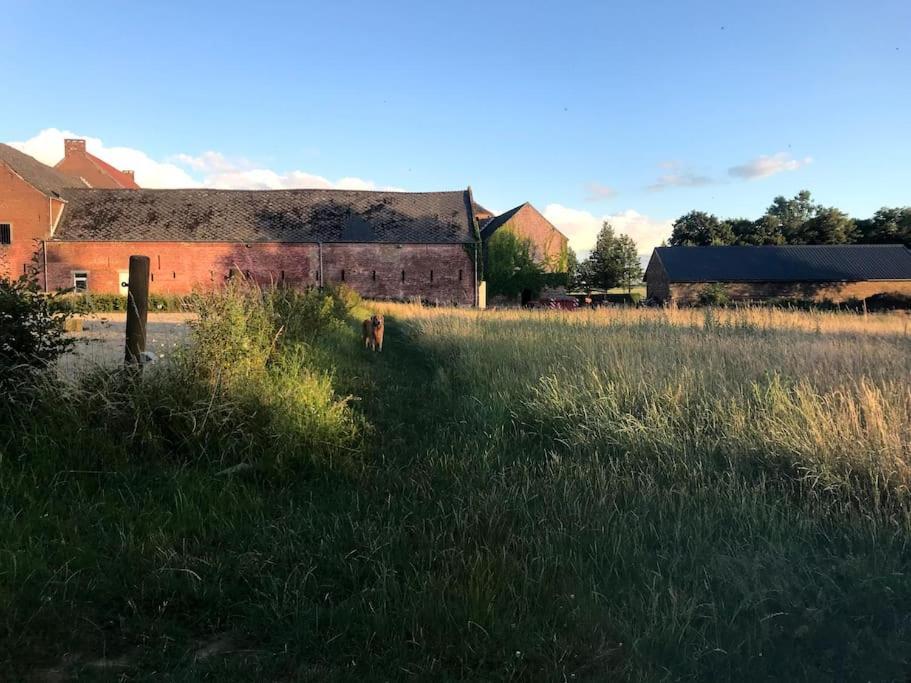 Le Cottage - Maison De 6 A 8 Personnes - La Ferme Du Try Frasnes-lez-Gosselies Eksteriør billede