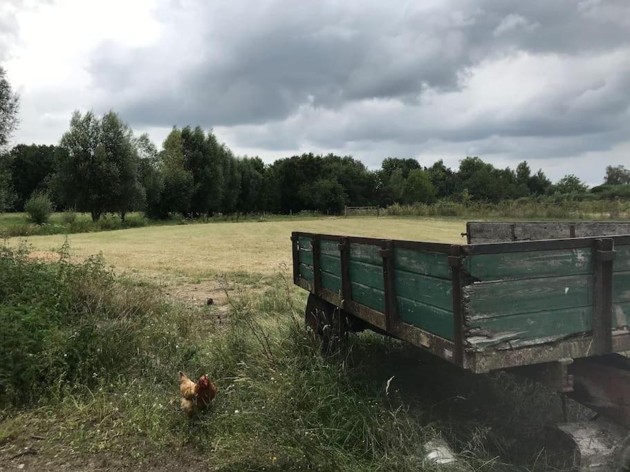 Le Cottage - Maison De 6 A 8 Personnes - La Ferme Du Try Frasnes-lez-Gosselies Eksteriør billede